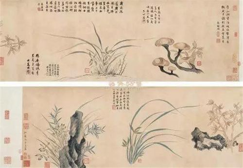 当年曹雪芹的祖父曹寅,曾接连三次为《马湘兰画兰长卷》题诗,共72句